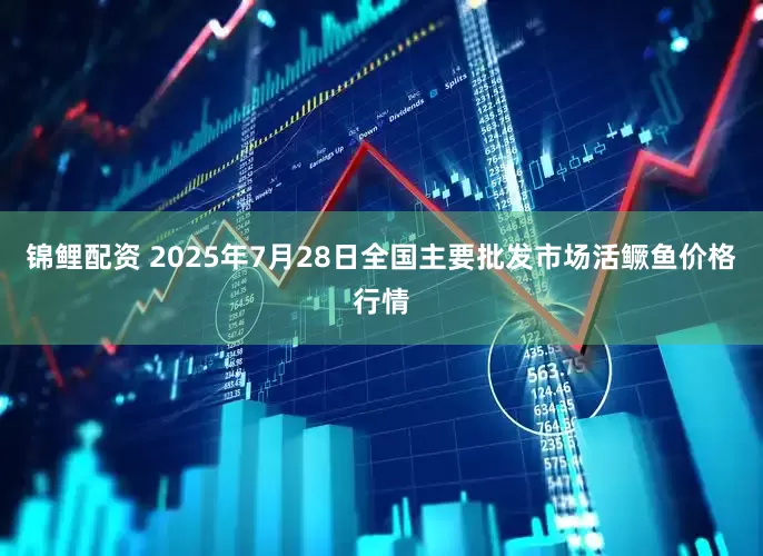 锦鲤配资 2025年7月28日全国主要批发市场活鳜鱼价格行情